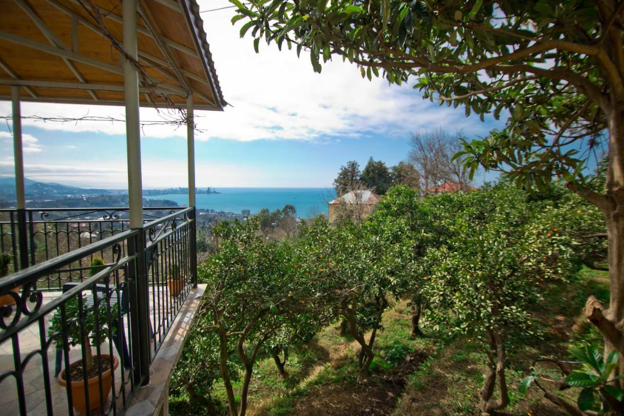Guesthouse Mtsvane Koncxi 22 Mtsvane Kontskhi Exterior foto